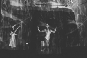 Photo by Don Barrington